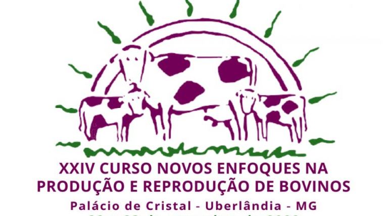Curso Novos Enfoques event logo