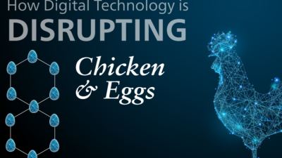 Flocking to digital: The future of poultry technology