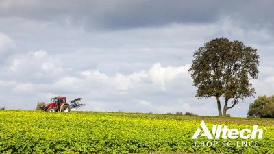 How can growers weather the wild weather?