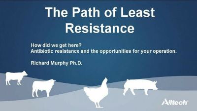 Insights into the impact of antibiotic resistance
