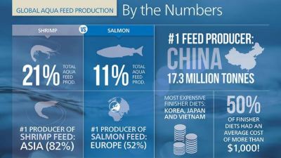 Fish feed findings: Alltech’s 1st global aquaculture feed production survey
