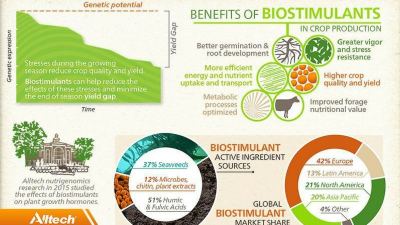 Athlete-style nutrition for a plant: The science of biostimulants
