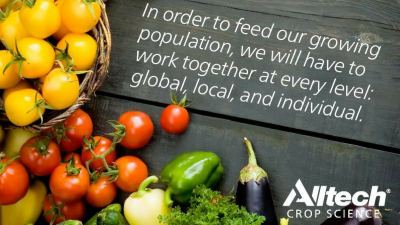 An abundant & nutrient-rich food supply for 2050