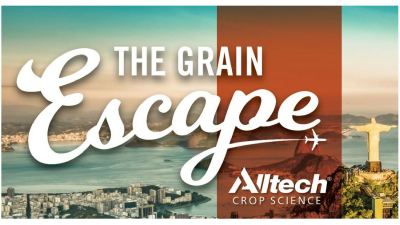 The Grain Escape