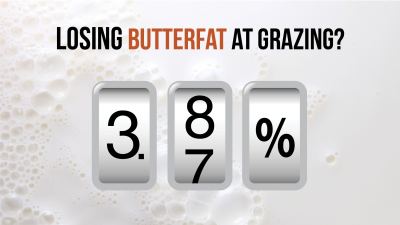 Losing Butterfat at Grazing?