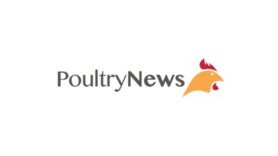 Poultry News 