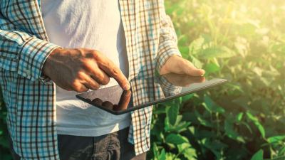 Homem com tablet na lavoura de soja