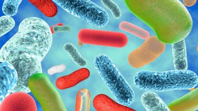Стратегия Alltech направлена на увеличение разнообразия бактерий, формирующих микробиом животного