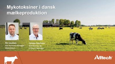 mykotoksiner i dansk mælkeproduktion