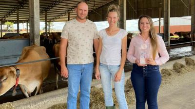 Mastite: pesquisadora descobre solução para reduzir uso de antibióticos em vacas leiteiras