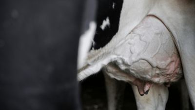 3 ways to increase milk production while reducing your carbon footprint