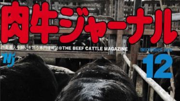 Japanese magazine image