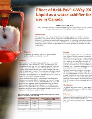 Effect of Acid-Pak as a water acidifier - Research PDF thumbnail
