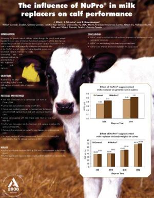 The influence of NuPro in milk replacers on calf performance - Research PDF thumbnail
