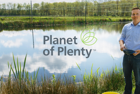 Guido blog Planet of Plenty