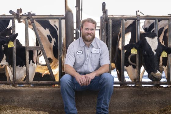 Brian Fiscalini sitting with dairy cows in barn