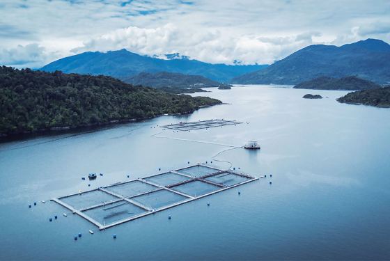 aerial photo of sustainable salmon farm
