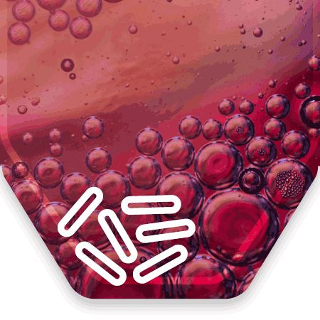 Miniature de l'icône des métabolites microbiens