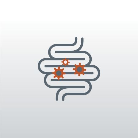 Digestive tract icon