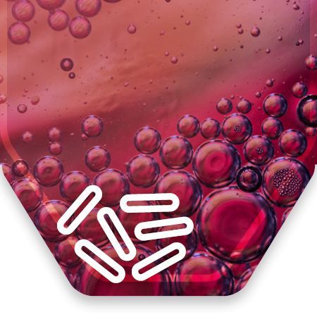 microbial metabolites icon
