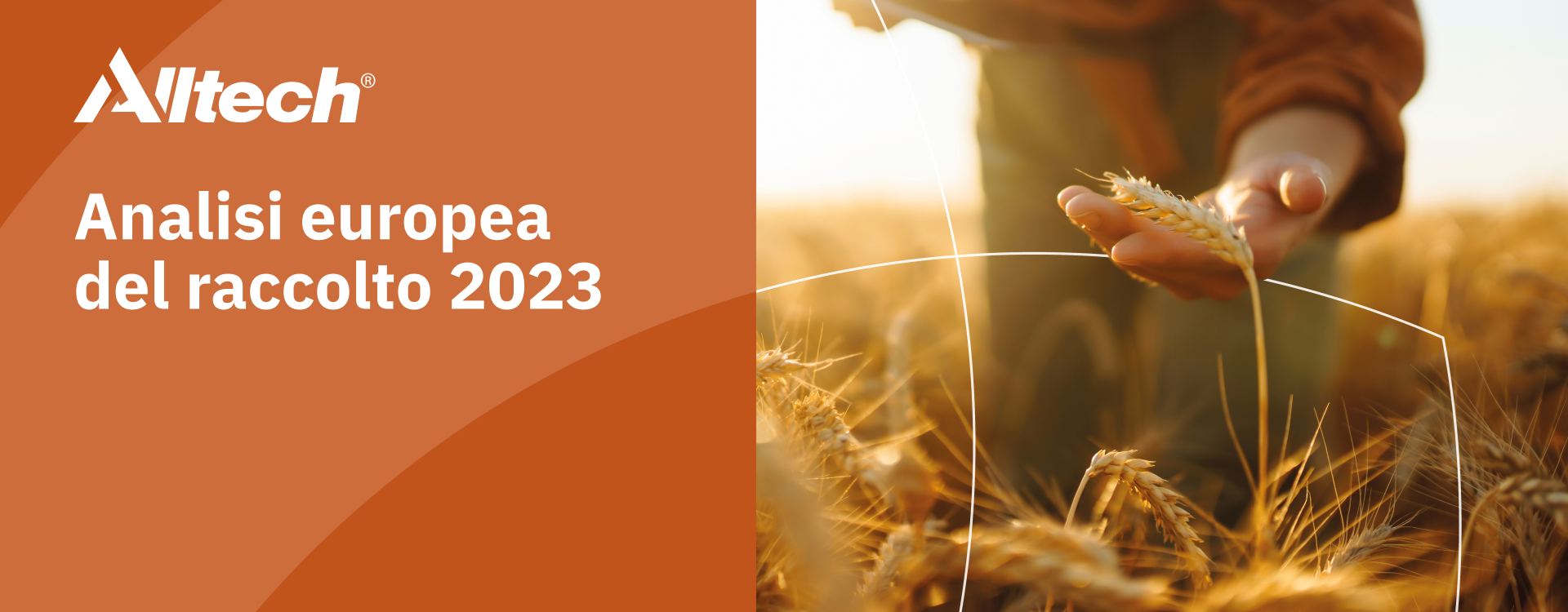 2023 European Harvest Analysis header