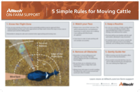 5 simple rules for moving cattle pdf thumbnail
