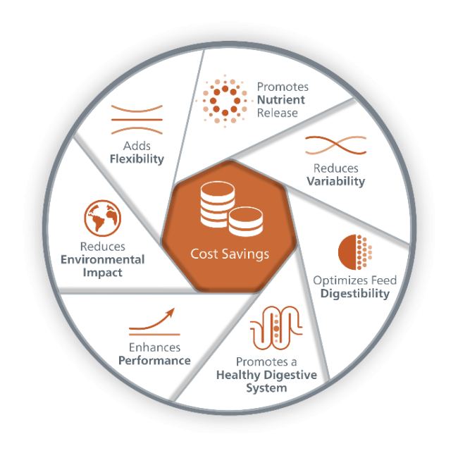 Cost savings circle