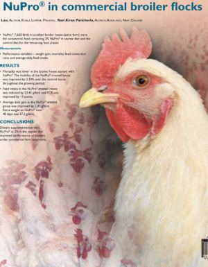 Response to NuPro in commercial broiler flocks - Research PDF thumbnail