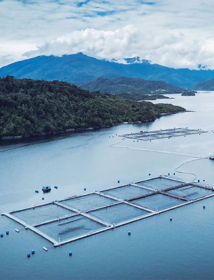 aerial photo of sustainable salmon farm
