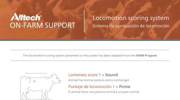 Locomotion scoring system pdf thumbnail