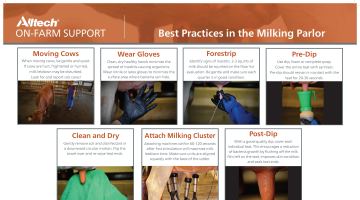 Best Practices in the Milking Parlor pdf thumnail image