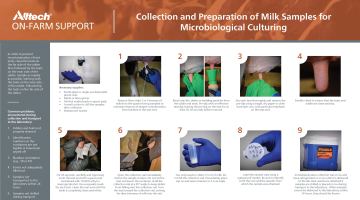 Collection and Preparation of Milk Samples for Microbiological Culturing (PDF - English)