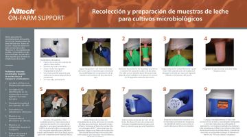 Recolección y preparación de muestras de leche para cultivos microbiológicos (PDF - Español)