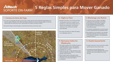 5 Reglas Simples para Mover Ganado (PDF - Español) thumbnail image
