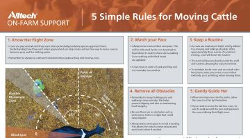 5 Reglas Simples para Mover Ganado (PDF - Español) thumbnail image