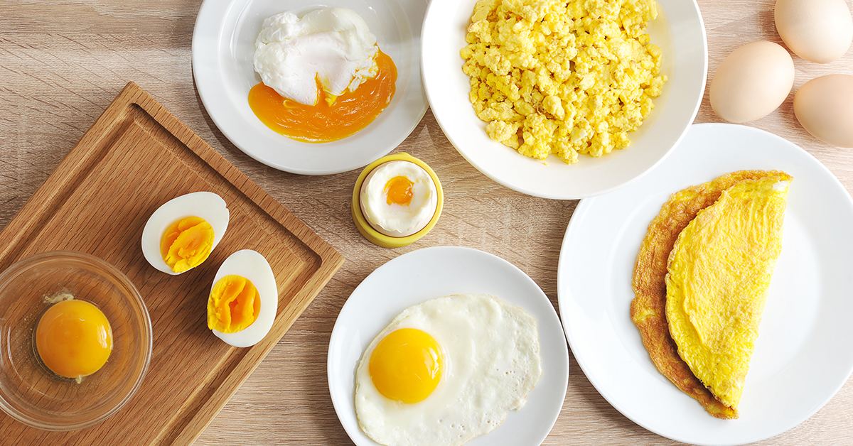 10 razões para comer ovos todos os dias | Alltech