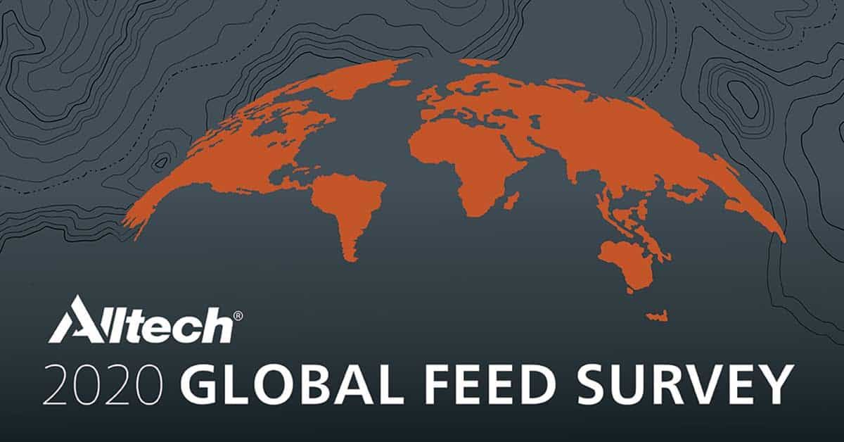 Global feed 